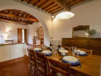 Corbezzolo