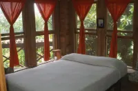 Roatan Bed & Breakfast Apartments Hotels in West End