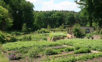 Pension & Gasthaus Kattenstieg