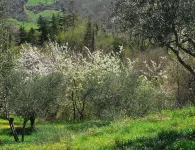LaDoccia - Casa del Camino Hotel a Anghiari