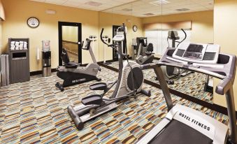 Holiday Inn Express & Suites Lubbock Southwest - Wolfforth