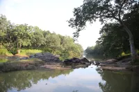 MPT Safari Lodge Mukki, Kanha Hotels in Manjitola