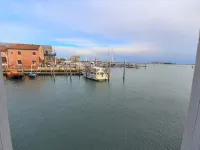 Judeca Nova