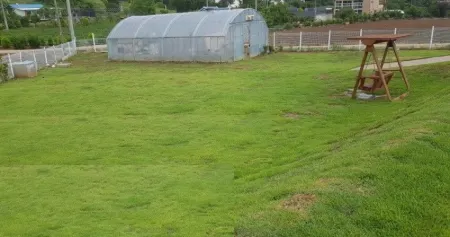 Taean Raon Pet Pension Отели в г. Тхэан