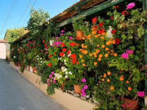 Luxury Villa Cavo Mare Meltemi