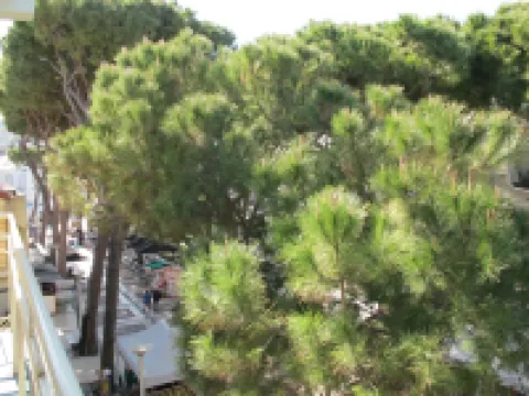 Bellavista