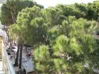 Bellavista 4