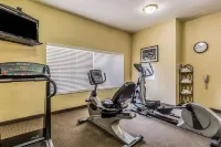 Sleep Inn & Suites Stafford - Sugarland - Gym