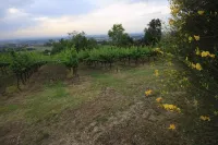 Agriturismo Gaggioli Borgo Delle Vigne