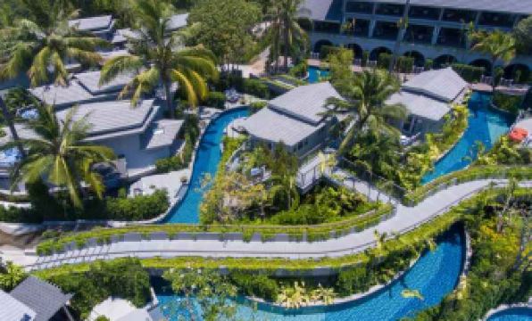 1. 멜리아 코사무이..