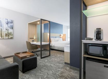 SpringHill Suites San Jose Fremont