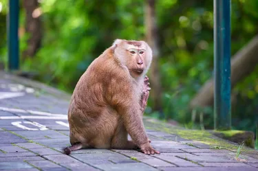 รูปภาพของทีพี เฮาส์ แอททาวน์