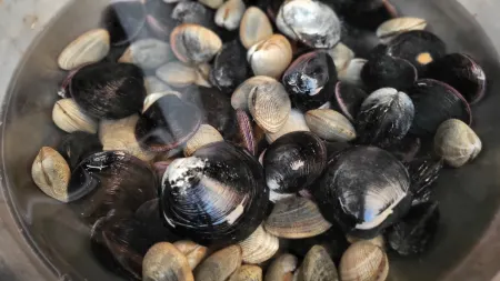 Geoje Osong Gwangwang Nongwon Отели рядом с достопримечательностью «Historic Park of Geoje POW Cam»