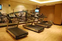 Southern Sun or Tambo International Airport - Gym