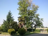 Hotel Europa Milano Hotels in Vermezzo