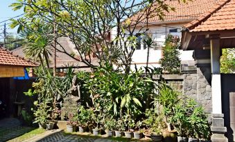 Yulia 2 Homestay Sanur