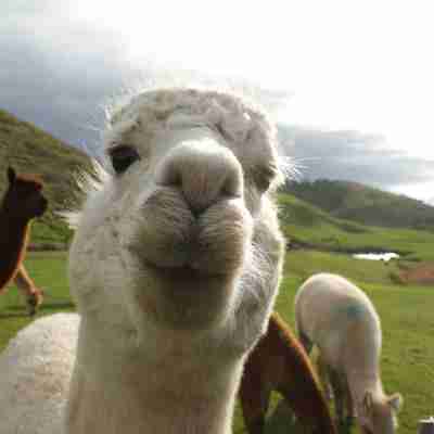 海員傑特威酒店 Hotel Exterior