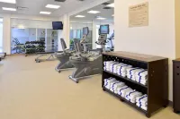 SpringHill Suites Detroit Metro Airport Romulus - Gym