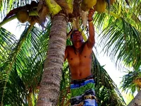Bamboo Backpackers Hotels in Nadi