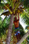 Bamboo Backpackers