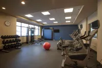 Hampton Inn & Suites St. Paul Downtown - Gym
