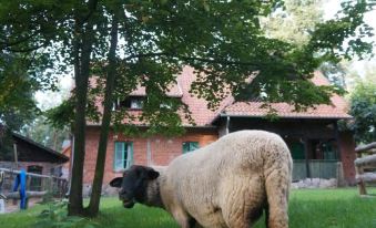 Leśniczówka Jednorożec