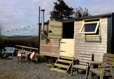 The Shearer's Hut, Sleeps 2, Wood Burner, Fire Pit Hotel in zona Castello di Dinefwr