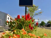 Relax Inn Front Royal Hotels in Warren County