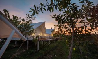 Homee Glamping Wunung Giri Yogyakarta