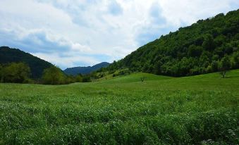 Agriturismo Campo Rosso