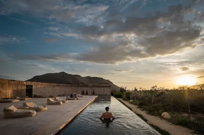 Paradero Todos Santos - Exclusive Experiences Included