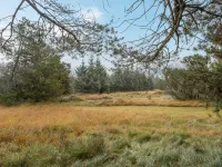 "Aulikki" - 900m from the Sea