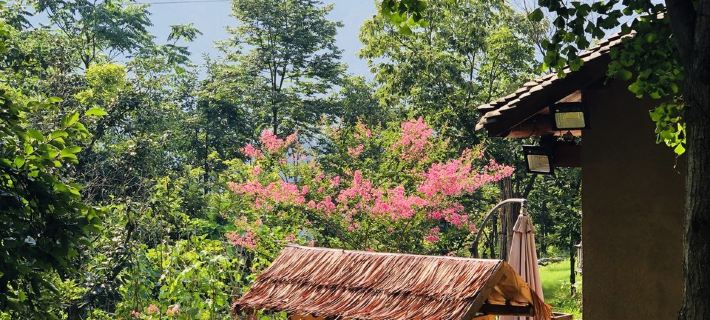 Wudangshan Shanli Hanshe Homestay (Wudangshan Scenic Area) โรงแรมในตันเจียงโข่ว