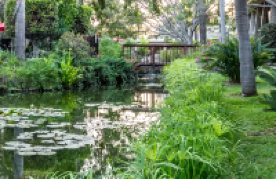 Ramada by Wyndham Santa Barbara Hotels near Upper State Street