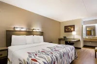 레드 루프 인 윌크스-배러