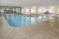 福爾溪套房酒店 - 泳池
