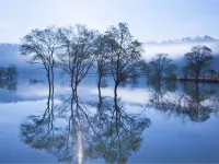 Shirakawaonsen Shirakawaso - Разрешено размещения с домашними животными