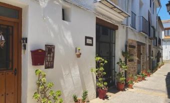 a narrow street with a row of potted plants lining the sidewalk , creating a pleasant atmosphere at Apartamentos Turisticos "El Refugio"