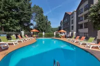 Super 8 by Wyndham Pigeon Forge Dollywood Lane - Pet friendly