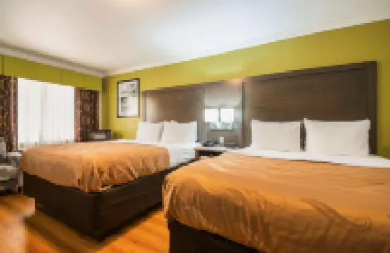 퀄리티 인 데리더 뷰리가드 파리쉬 호텔