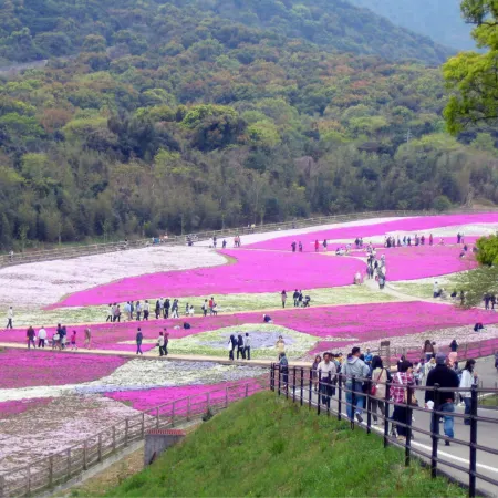 Kaiboso