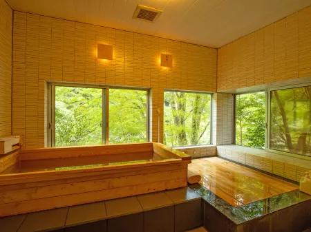 Goroku Onsen Отели в г. Цуно