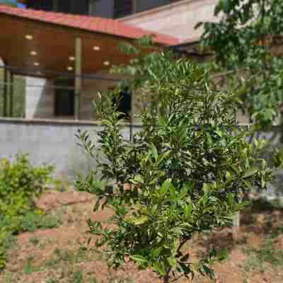 Fragrant Rose Hotel Exterior