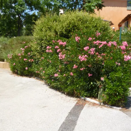 Les Restanques Golfe Saint Tropez