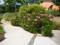 Les Restanques Golfe Saint Tropez Các khách sạn gần Camping Les Mûres