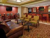 Holiday Inn & Suites OVERLAND PARK-CONV CTR by IHG - bar