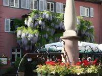 Hotel der Löwen in Staufen Hotels in Heitersheim
