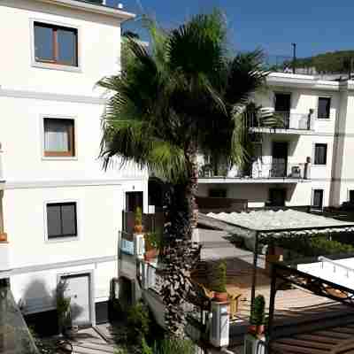 Hotel Villa Luisa Hotel Exterior