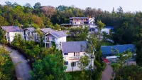 The Blossom Resort - Chikmagalur Hotels near Jhari Waterfalls
