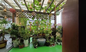 Laocheng Yard Homestay